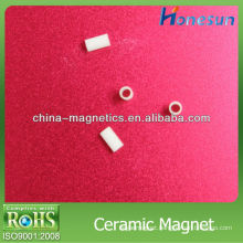 ceramic magnets D1x1.5mm
